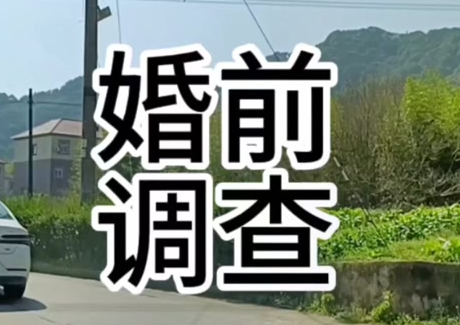 婚前资产调查